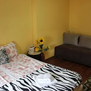 Apartment Vitoshka Biggest 